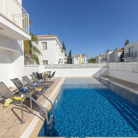 Palms 32